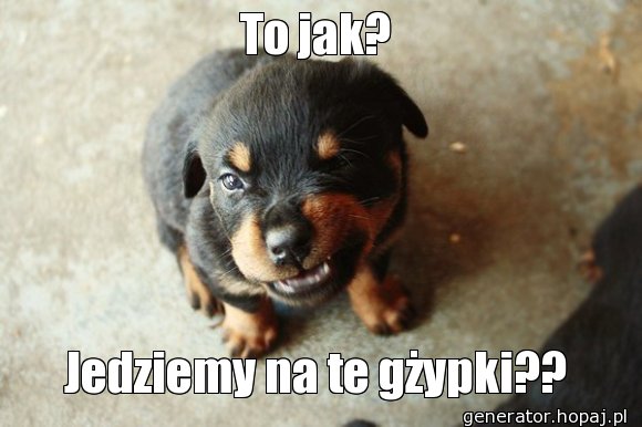 To jak?