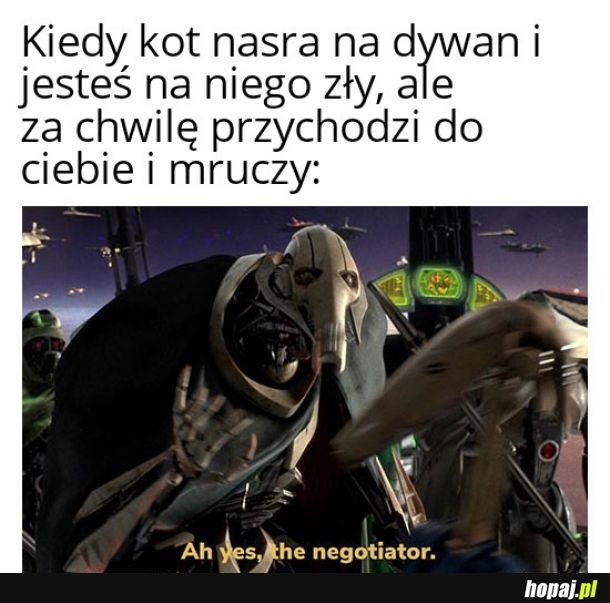 I tak je uwielbiasz