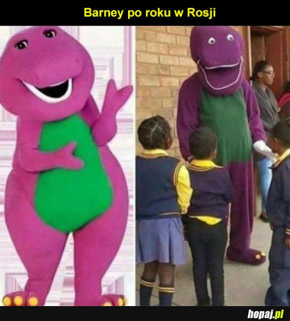 Barney