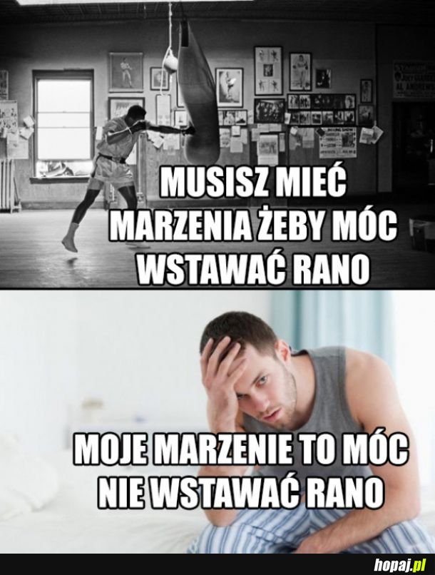 Moje marzenia