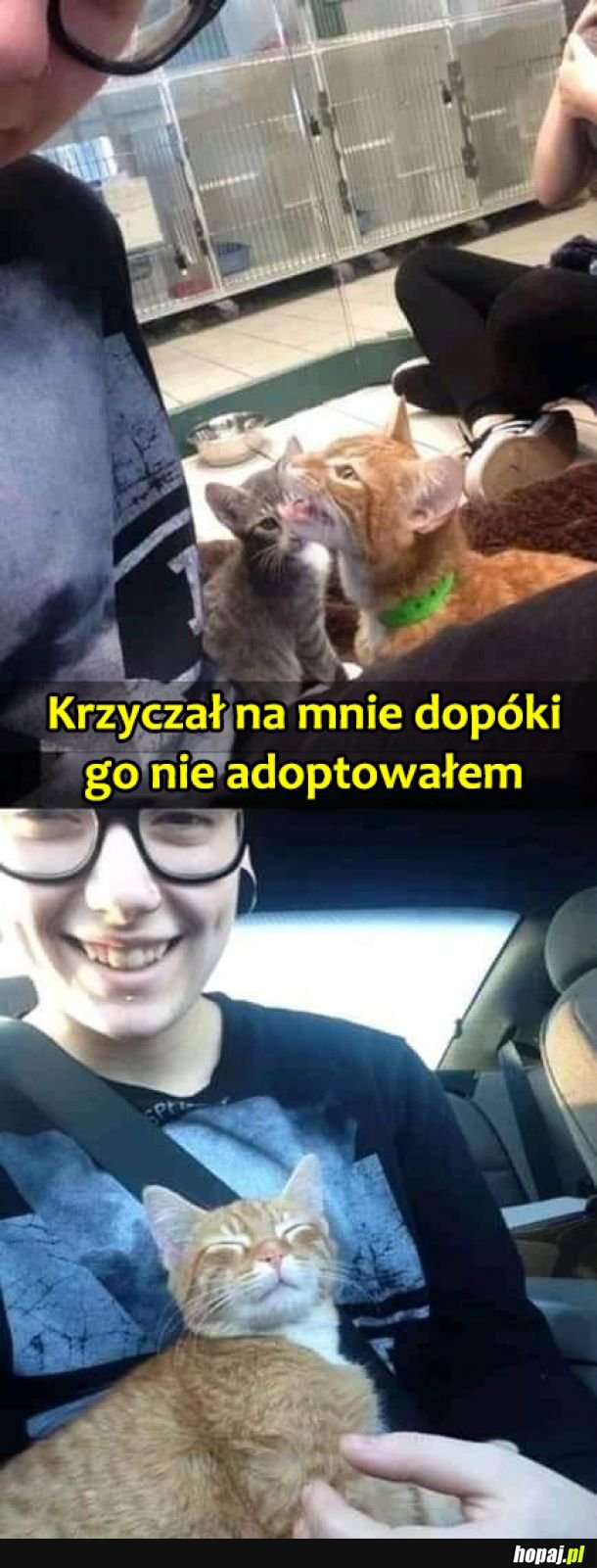 Mnie, wybierz mnie!
