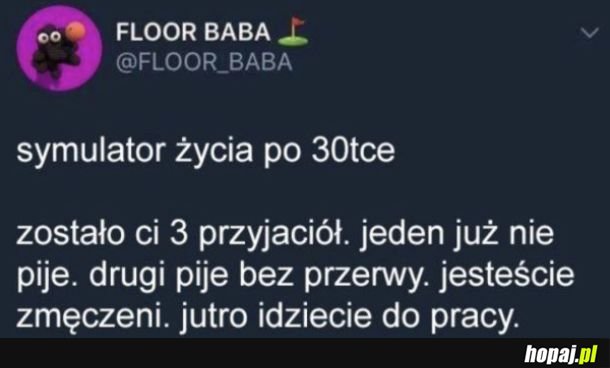 Symulator
