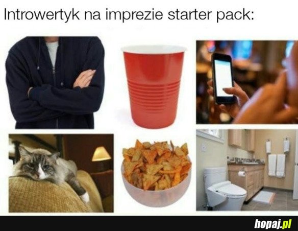INTROWERTYK NA IMPREZIE