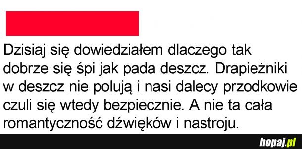 Deszcz