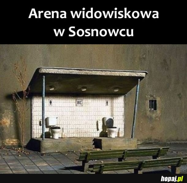 Sosnowiec 