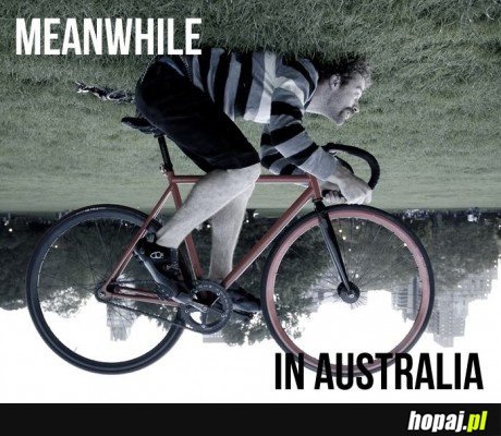 Tymczasem w Australii