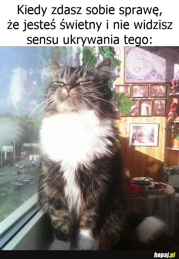 Oczywiście xd
