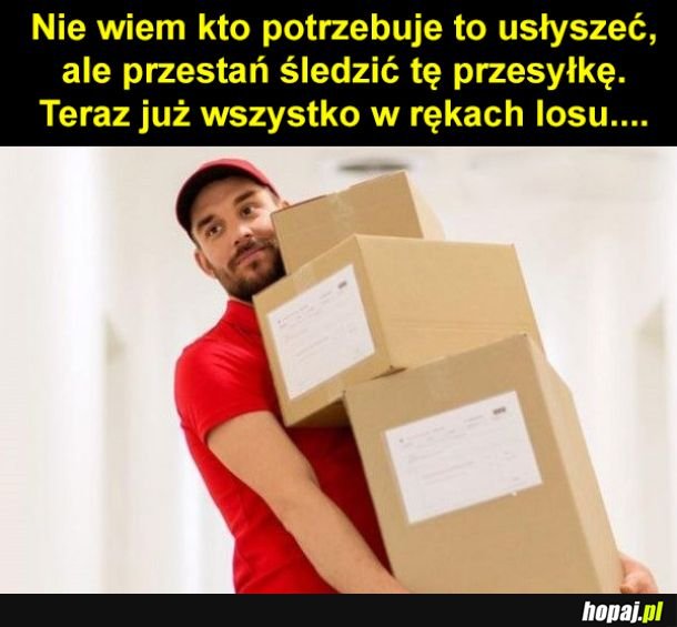 Już daj spokój