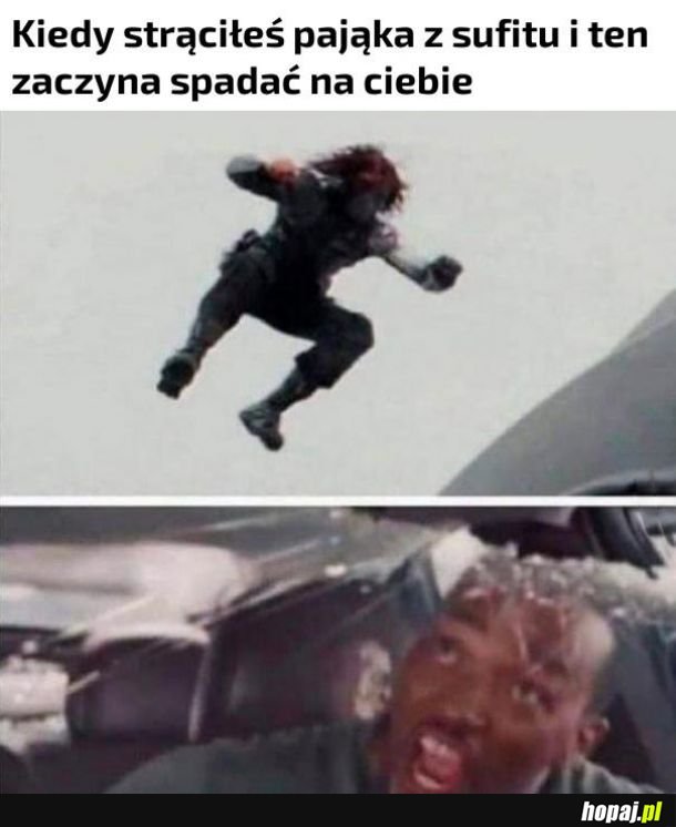 Pajączek