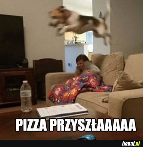 PIZZA