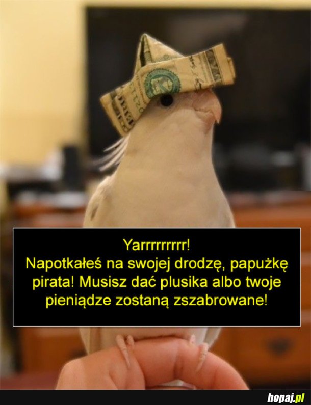 DO ABORDAŻU!!!