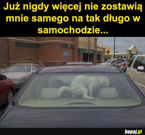 Zemsta bywa słodka