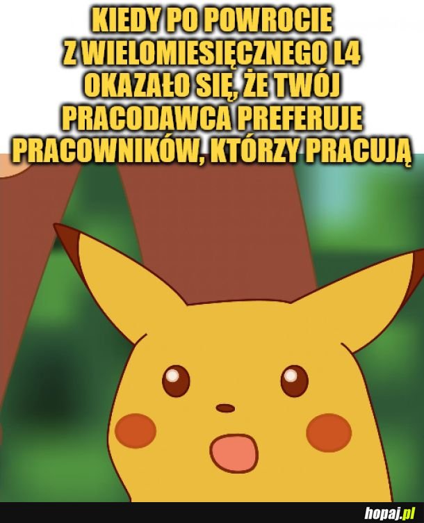 Szok. 
