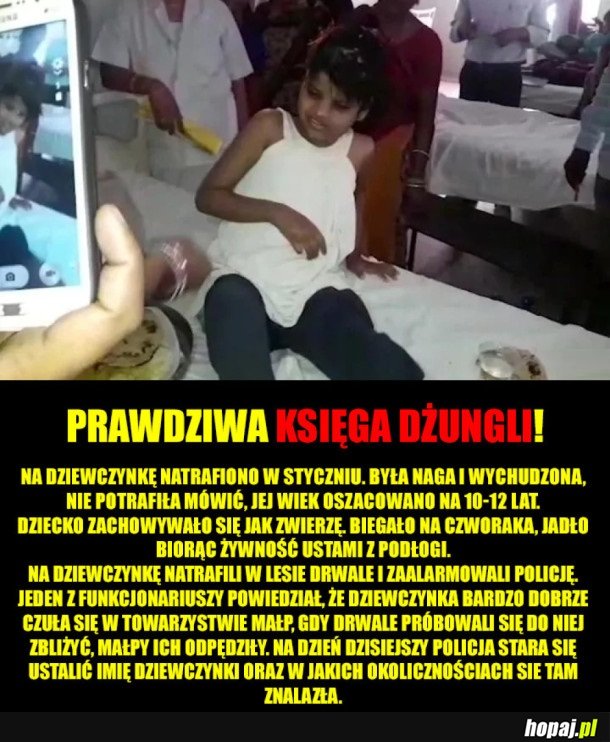 KSIĘGA DŻUNGLI W PRAWDZIWYM ŻYCIU