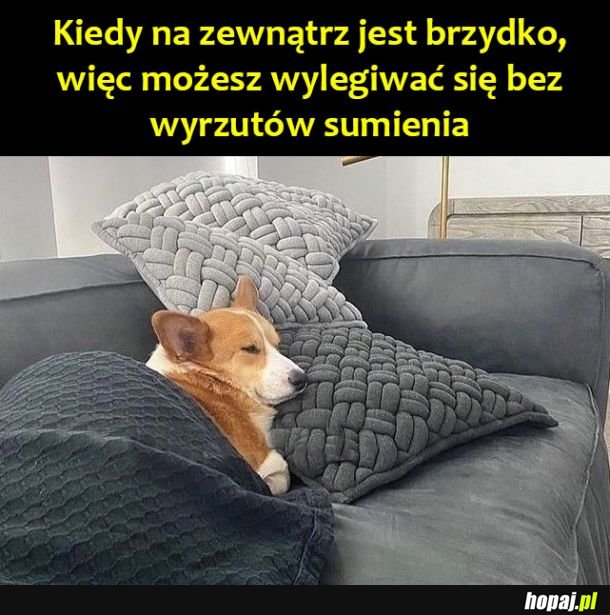 Brzydka pogoda