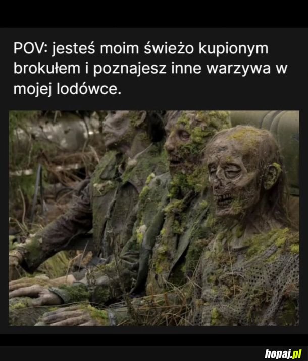Poznajcie się