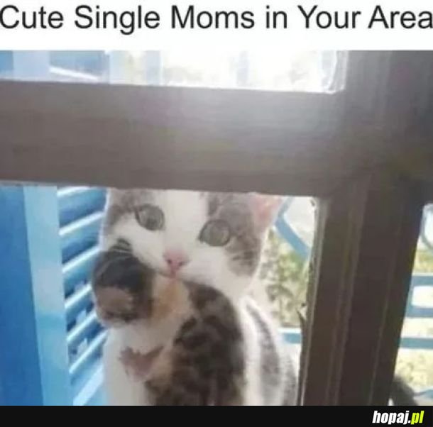 Cute single moms