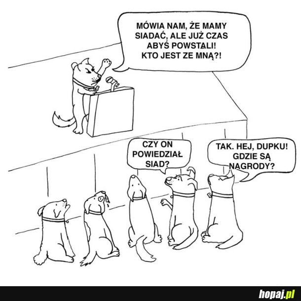 Dość tego!