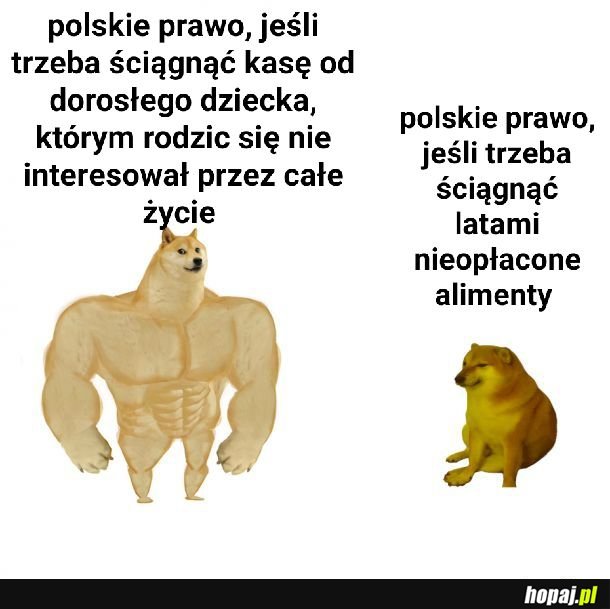 Niesprawność