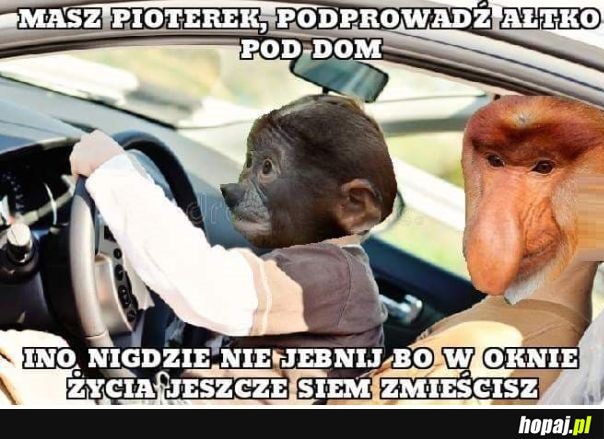 Ino nie jebnij