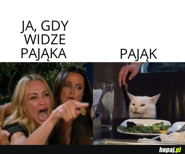  Czekaj, pomagam ci 