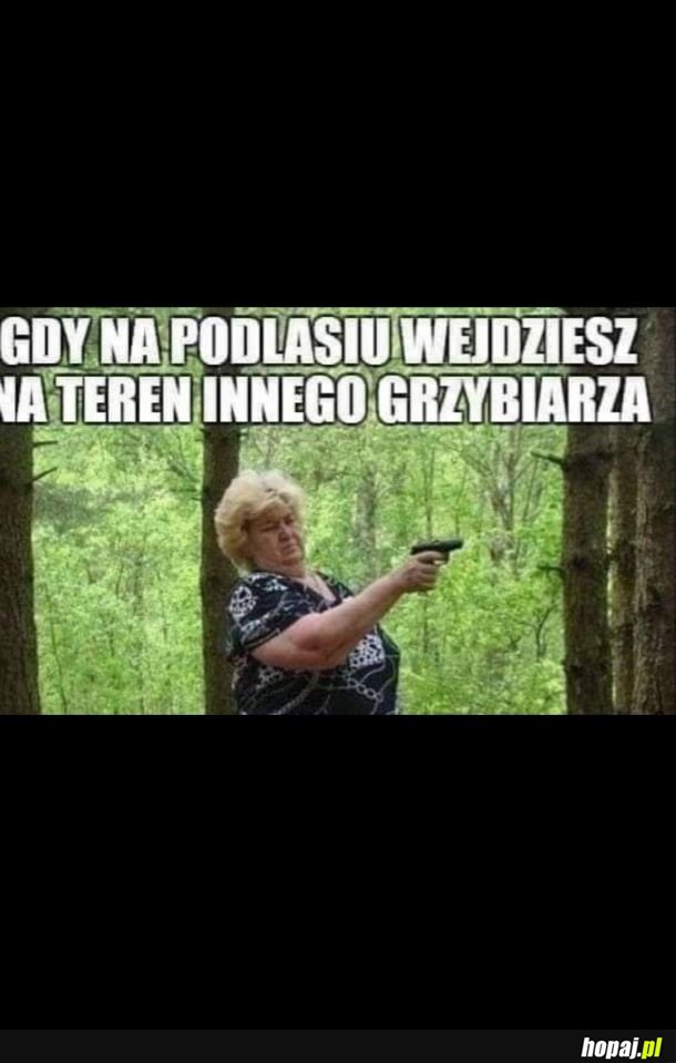 Zaraz się zacznie