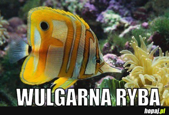 Wulgarna rybka