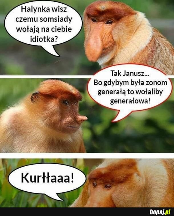 No kurllla