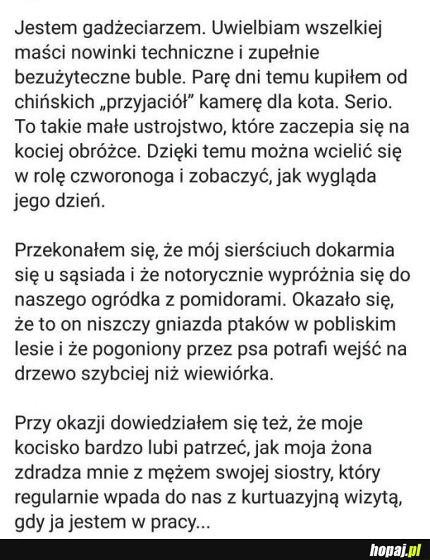 Kot tajny agent