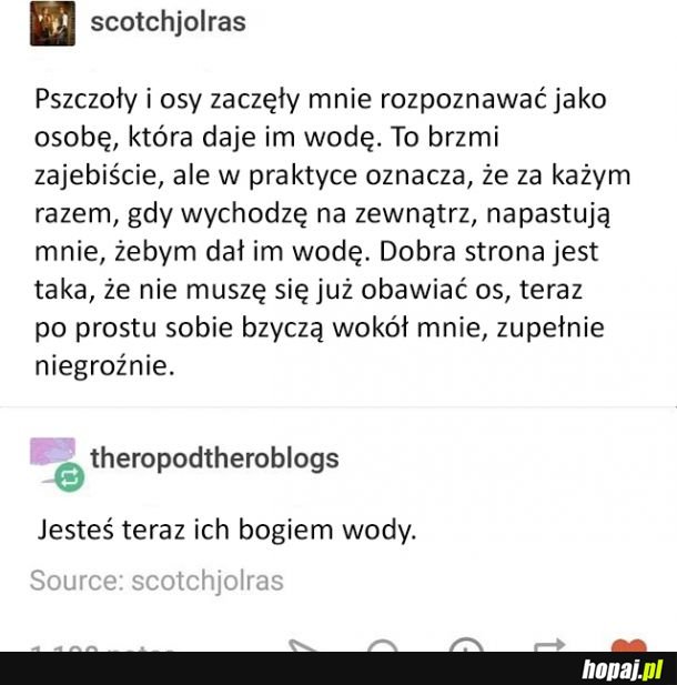 Bóg pszczół i os