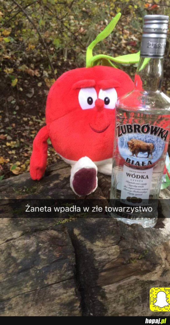 JAKI KRAJ, TAKI ŚWIEŻAK