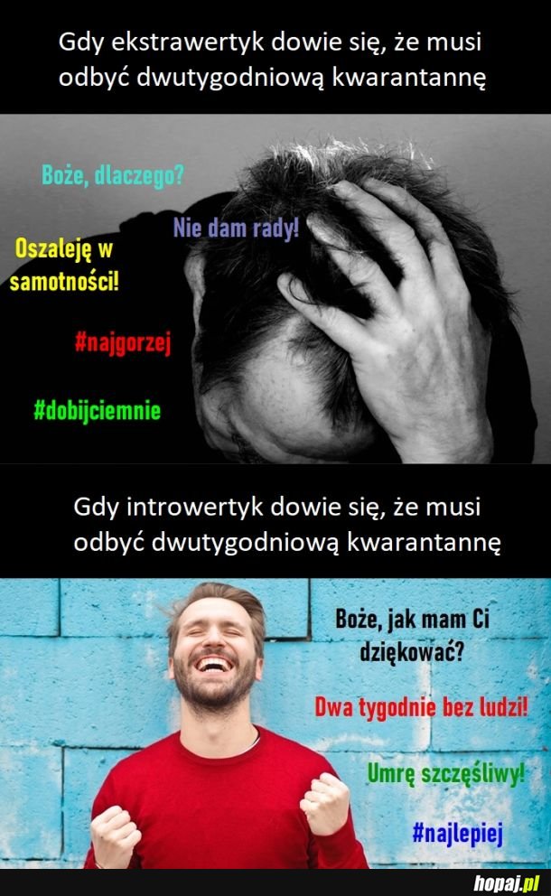 Ekstrawertycy vs infrowertycy