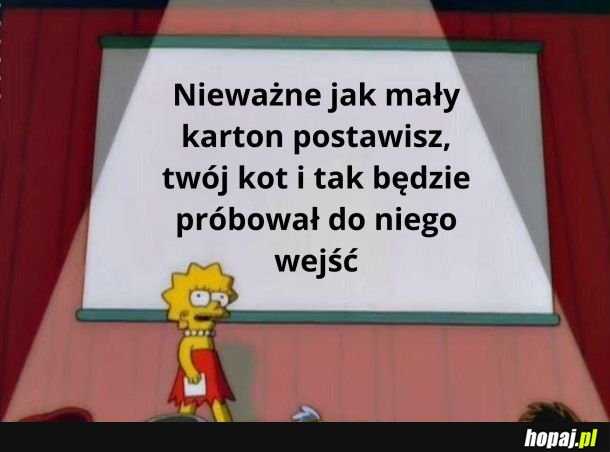 Zgadza się