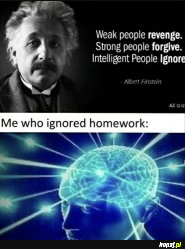 Inteligencja