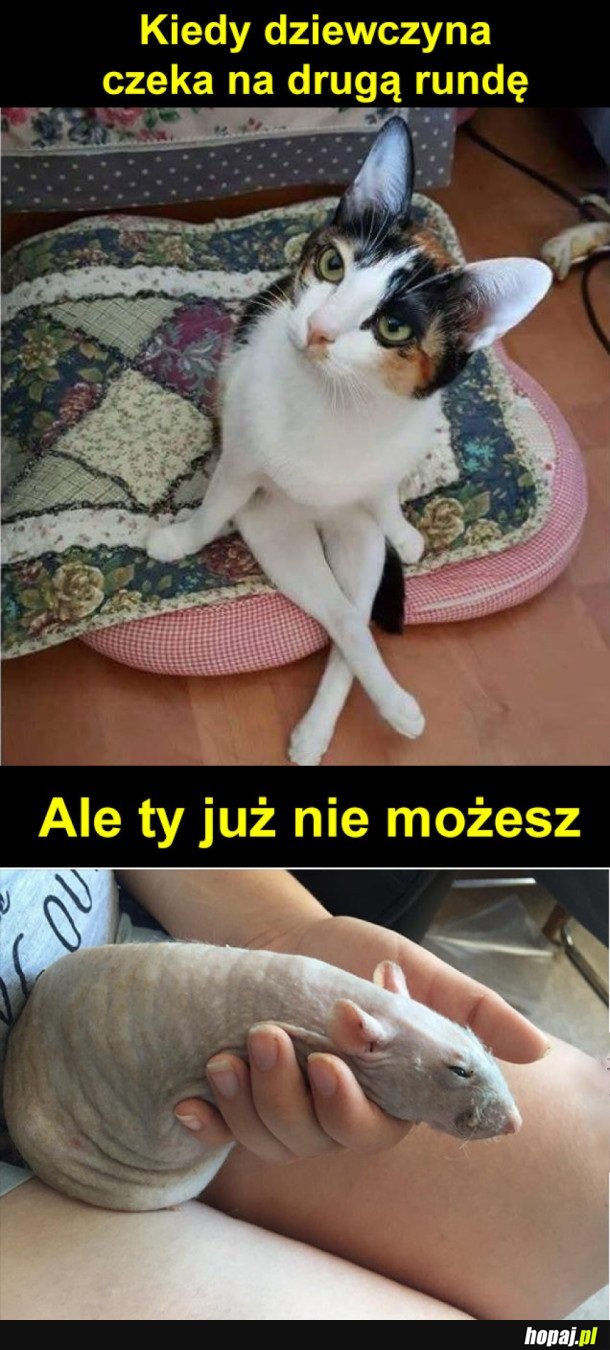 KIEDY DZIEWCZYNA CHCE WIĘCEJ