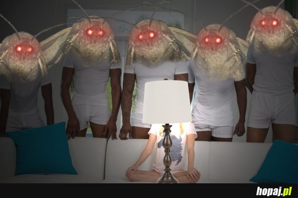 Ćmy