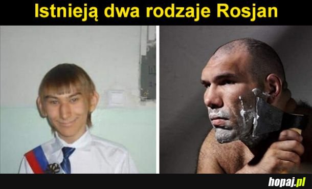 Rodzaje