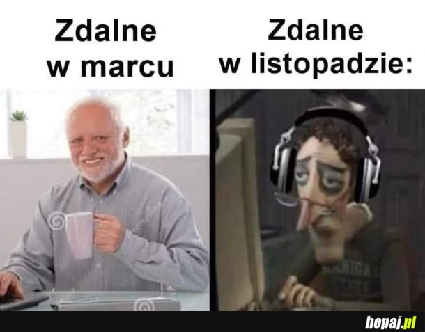 True