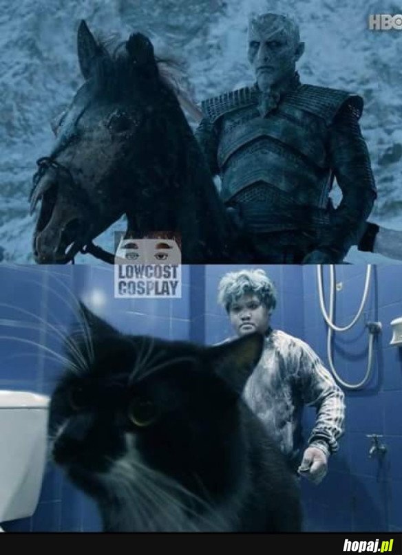 MISTRZ COSPLAYA