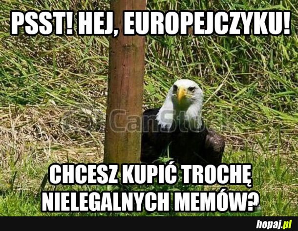 Hej Europejczyku