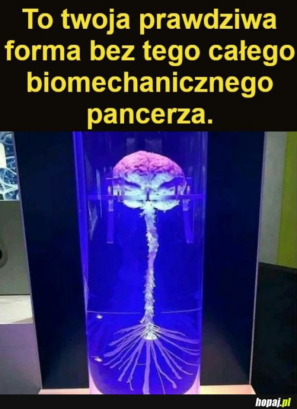 Czy to alien? Nope, to tylko Twoja prawdziwa forma :)