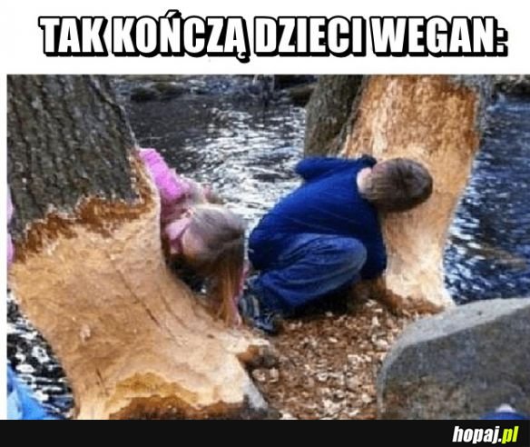 Tak to wygląda