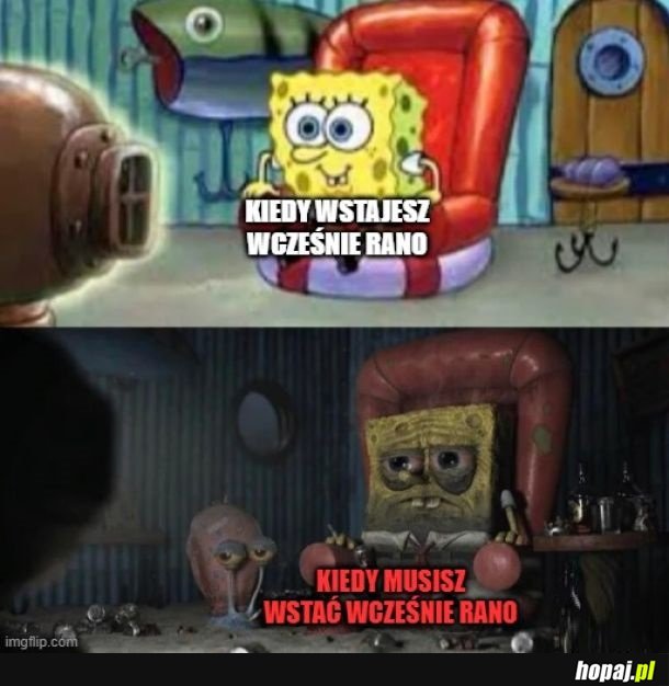 Jak nie trzeba, to pełny siły
