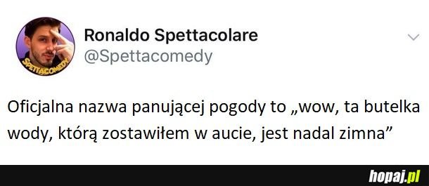 Lodówka na kółkach