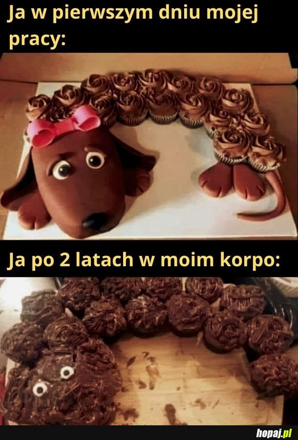 Korpo to robi z ludzi