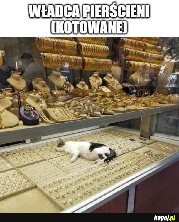 Trochę jak Smaug