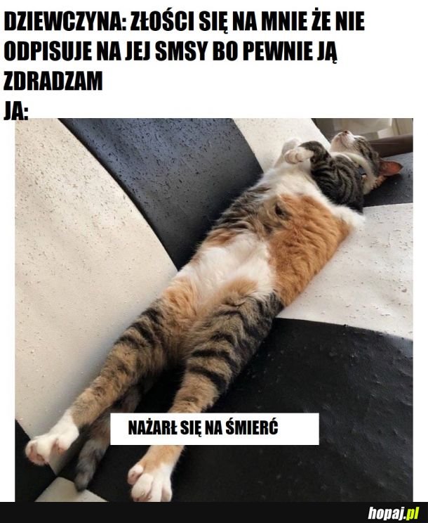 Nie dręcz kobieto, samca po posiłku