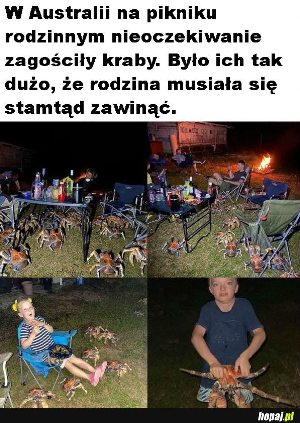 Tymczasem w Australii