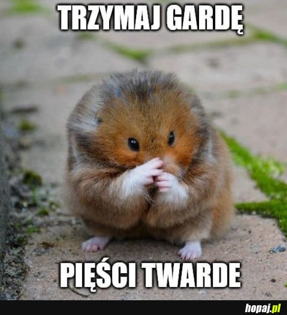 Ważne rady