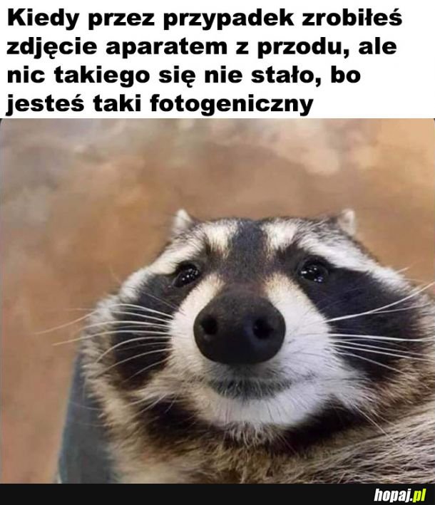  Fotogeniczność 